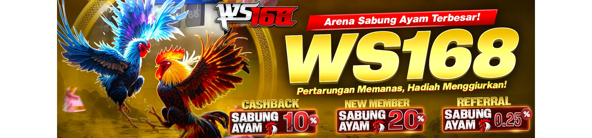 wigowin-99.com